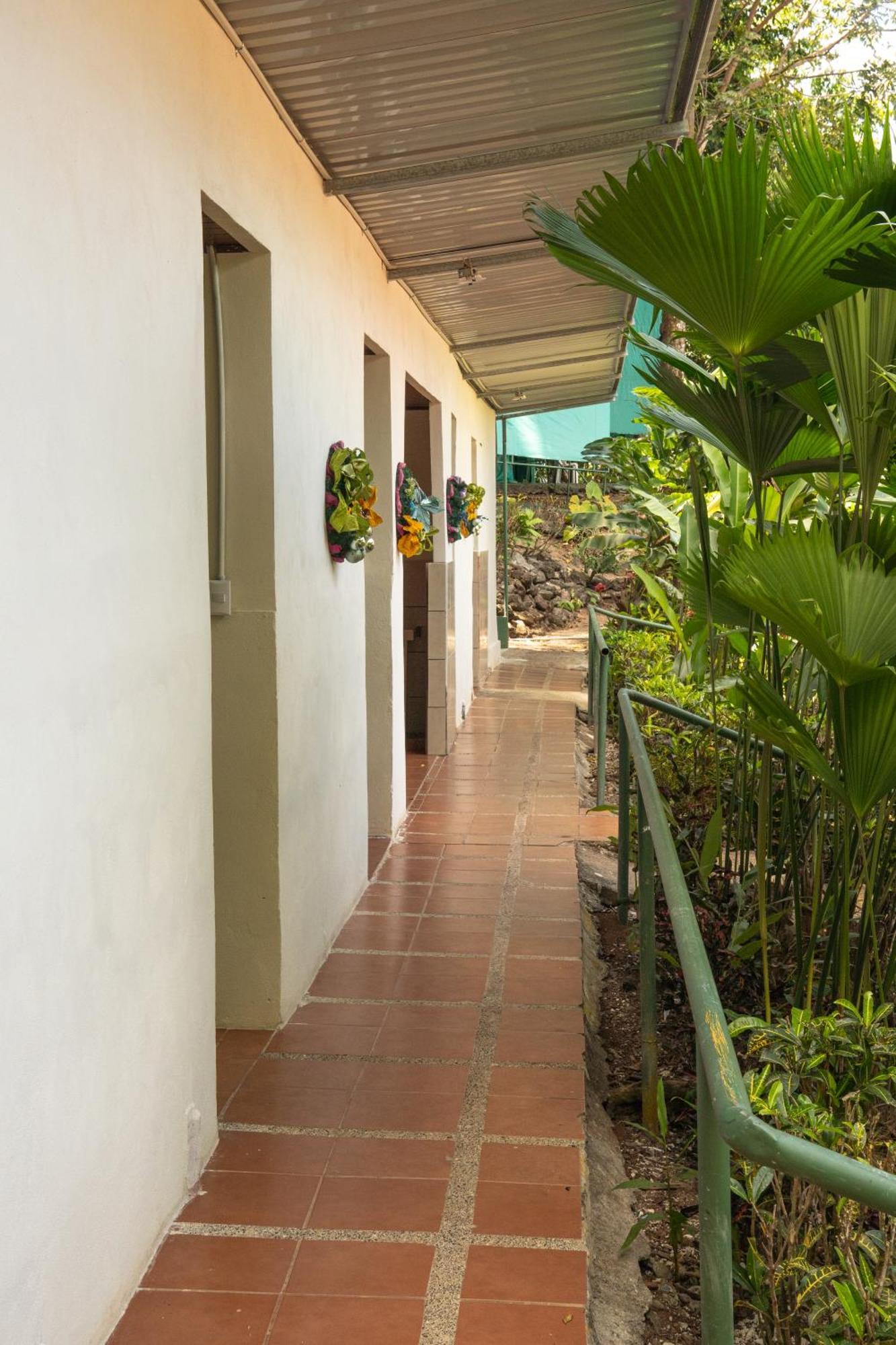 Hostel Corcovado Adventures Drakes Bay Exterior foto